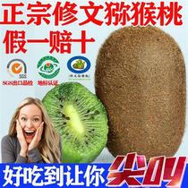 (Geographical sign products) Guizhou Shuwen Guiyang Long kiwi 15 standard fruit fresh