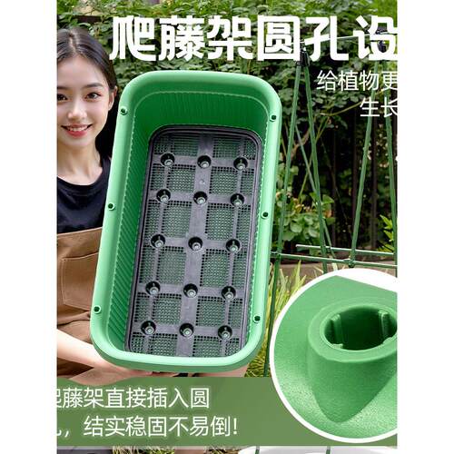 阳台种菜盆专用箱专用盆室外花盆长方形懒人种植盆家用大号蔬菜盆 - 图3