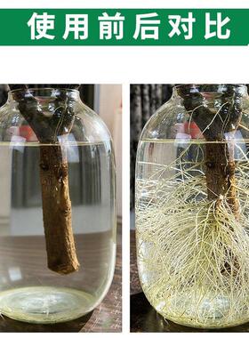 小叶女贞生根液花卉水培植物老桩扦插强力快速爆芽生根壮苗营养液