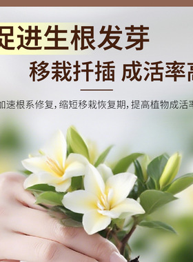绿植营养液植物再生剂生根液花卉绿植室内盆栽花肥营养液一件代发