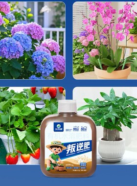 园艺营养液叛逆肥水溶肥花卉绿植氨基酸通用型营养液花肥养花通用
