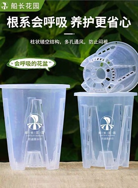 热植花盆彩叶海芋蔓绿绒天南星科植物专用土兰花透气青山控根花盆