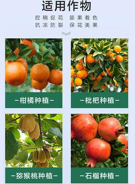 新型果树促控剂营养液中量元素水溶肥料调节防落果促大果高产优质