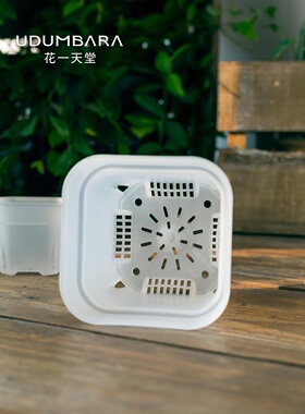 花一天堂特厚透明多肉塑料矮方花盆迷你特大号块根仙人球种植育苗