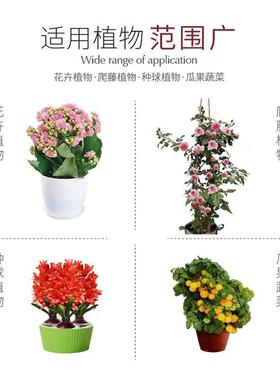 快速开花喷雾爆花液催花营养液生根促花改善黄芽花多色艳延长花期
