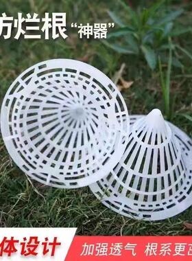 可移动耐用花盆垫片花盆垫底塑料网多肉根部透气防烂根网格种植箱