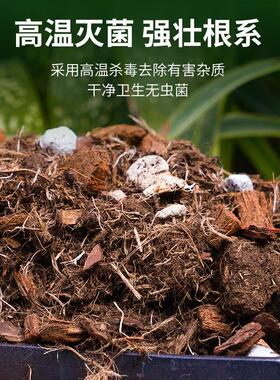 龟背竹专用营养土天南星科绿植通用颗粒海芋花烛有机泥炭营养土