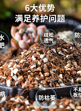 船长多肉专用颗粒营养土花园种植进口泥炭土壤纯颗粒铺面花土包邮