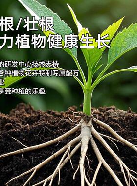 八个老头猛生根原液强力壮苗剂移栽扦插果树花卉通用促生长60ml