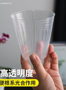 蝴蝶兰专用营养杯种植杯兰花栽培花盆石斛兰育苗透明塑料盆营养钵