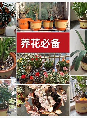 花盆陶瓷家用清仓特价大号口径陶土花盆紫砂大花盆透气陶瓷盆绿植