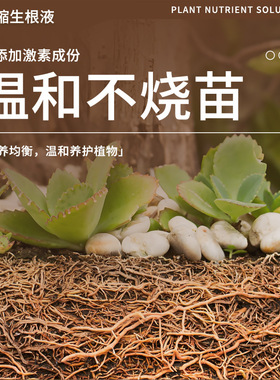 绿植营养液植物生根液盆栽绿植花肥养花通用生根粉源头工厂营养液
