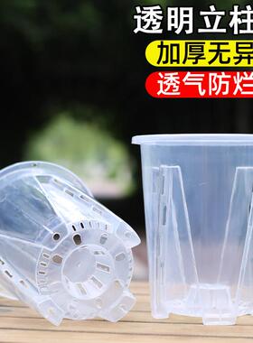 透明控根蝴蝶兰花盆兰花水苔透气蝴蝶兰桌面阳台塑料树脂花盆
