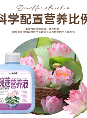 碗莲水培植物营养液厂家直销水培植物花卉庭院莲花种植花肥艾尚棵