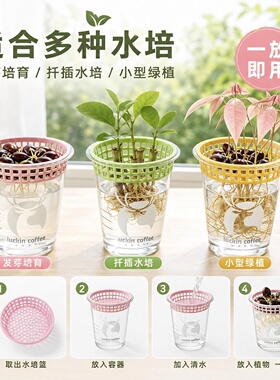 水培定植植物种植器皿适配瑞幸咖啡杯子的镂空荔枝水培支架花盆