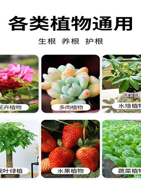 强力生根粉植物通用扦插树木移栽营养液花卉绿植快速生根液壮苗剂