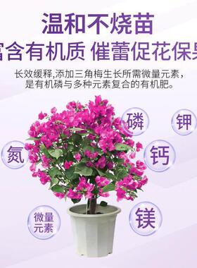 三角梅开花专用肥缓释肥梅花营养液花卉通用花肥颗粒催花复合肥料