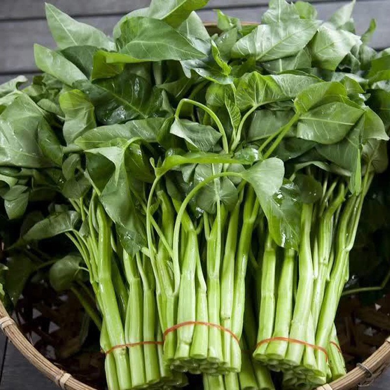 大叶空心菜种子圆叶四季菜苗菜籽蔬菜大叶空心菜种籽种孑农家盆栽-图0