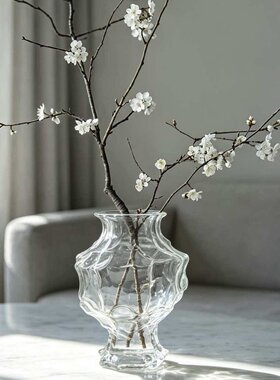 北欧云谷透明玻璃花瓶不规则高级感摆件家用装饰品高颜值水培插花