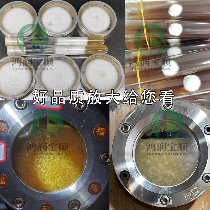 食用菌培养基液体菌种子摇瓶发酵罐培养发酵通用性免煮速溶粉末菇,淘宝优惠券,粉丝福利购,淘宝优惠卷