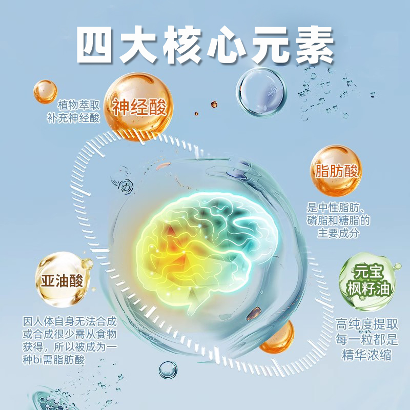 元宝枫籽油增强神经酸记中老年大脑官方旗舰店忆学生非美国进口力 - 图0
