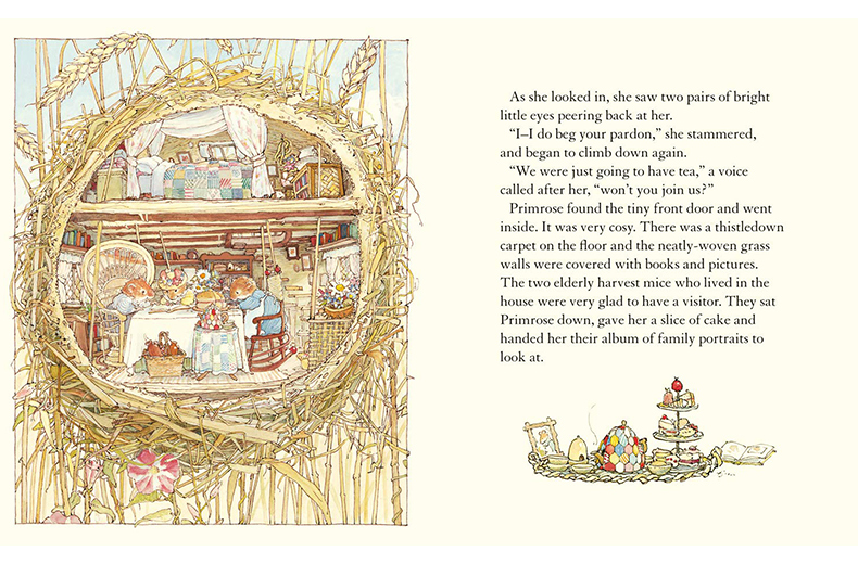 现货 进口英文原版绘本 野蔷薇村的一年4册40周年盒装 A Year in Brambly Hedge 野蔷薇村的故事  儿童英伦田园童话故事 - 图1