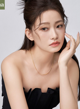 NININA项饰颈链ins扁蛇链送女友