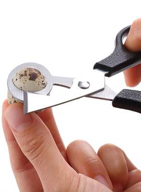 极速Birds Quail Egg Scissors Pigeon CuttinMg Opener Cutter K
