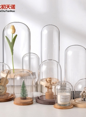 极速干燥a花保存瓶玫瑰花束软木塞透明收纳展示盒永生模型摆件制