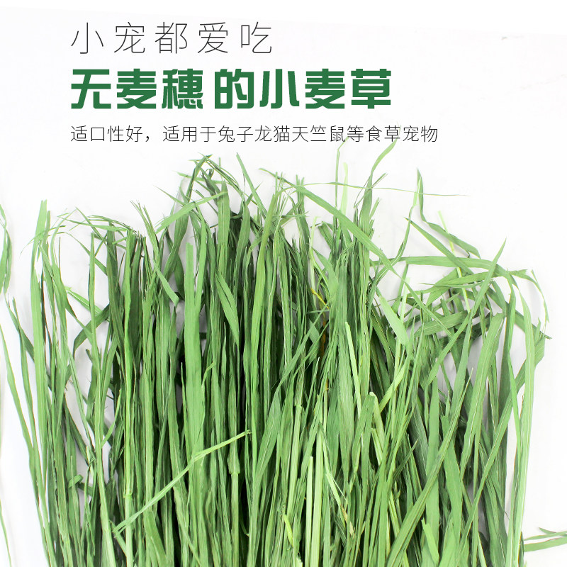 极速兔兔干草烘干小麦草牧草兔子草荷兰猪草M龙猫牧草小麦苗1Kg包,淘宝优惠券,粉丝福利购,淘宝优惠卷