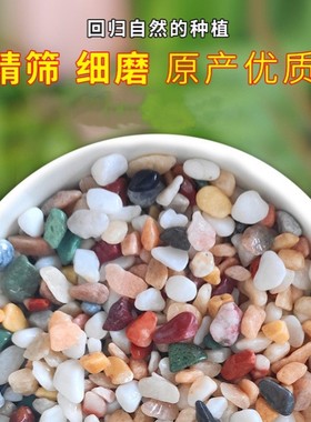 极速放在花盆里的小石头养花石子彩色石头花盆小彩U石盆栽铺面造