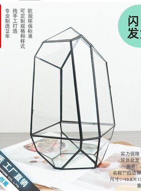 雨林生态缸苔藓微缩景观几何玻璃小花房创意家居软装摆件造景花盆
