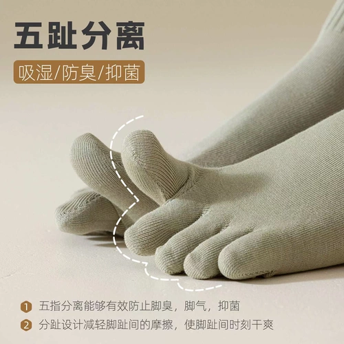 Хлопковые носки для пальцев на ноге, антибактериальные осенние демисезонные гольфы, средней длины, популярно в интернете
