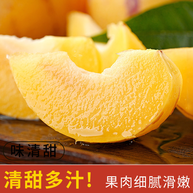 Only yellow fruits丨Ready to eat after receiving丨Tree ripe ginseng fruit