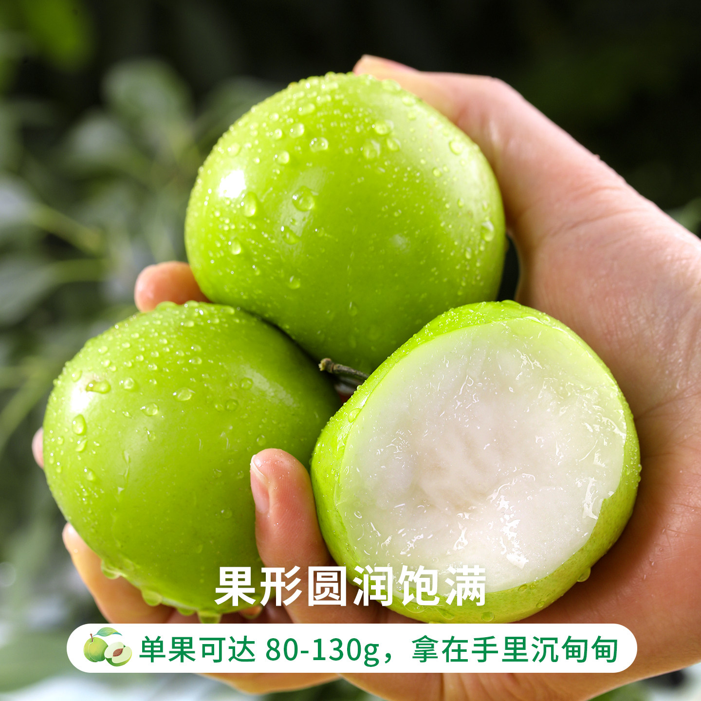 云南西双版纳苹果枣当季特产水果牛奶大青枣新鲜现摘冬正宗脆枣