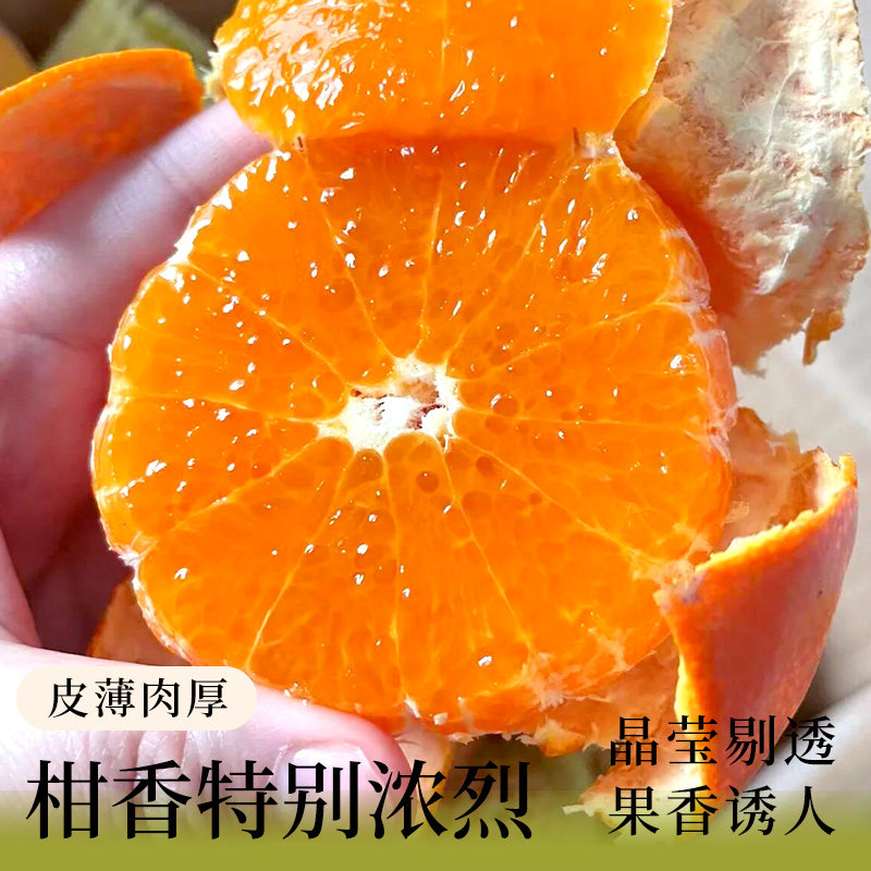 广西武鸣茂谷柑脏脏柑10斤新鲜水果应当季整箱沃橘子石灰柑桔子,淘宝优惠券,粉丝福利购,淘宝优惠卷