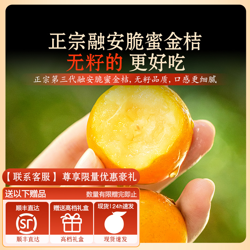 正宗】融安脆蜜金桔官方旗舰店鲜果广西特产新鲜无籽第三代纯甜5 - 图2
