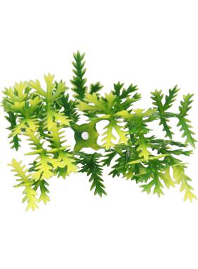 仿真米兰草球婚礼教堂酒店塑料绿植装饰花球尤加利黄杨悬挂植物球
