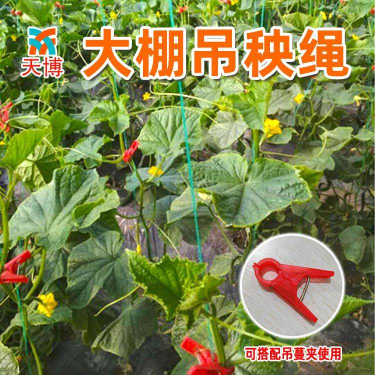 大棚吊秧绳西瓜黄瓜吊蔓绳塑料绳子拉绳西红柿爬藤网种植网农用,淘宝优惠券,粉丝福利购,淘宝优惠卷