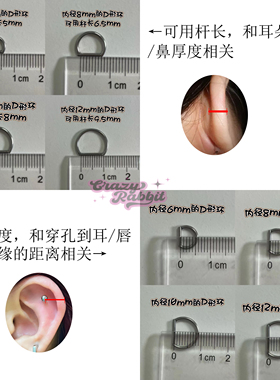 CrazyRabbit钛合金D字耳环