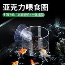 Fish tank feeders acrylic feeding rings fixed point feeding non-proliferation fish tank feeding the year shrimp fish grain feeding deviner