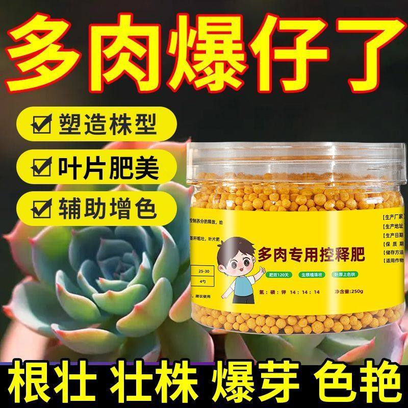 多肉肥料专用肥多肉控释肥爆盆增肥多肉营养液有机家庭园艺控释肥,淘宝优惠券,粉丝福利购,淘宝优惠卷