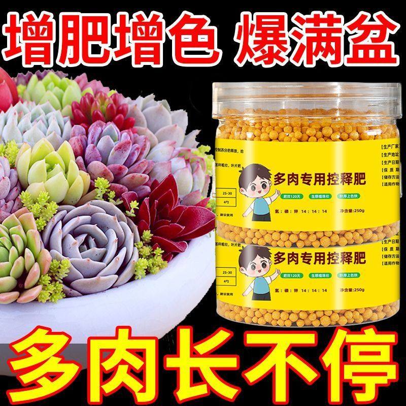 多肉肥料专用肥多肉控释肥爆盆增肥多肉营养液有机家庭园艺控释肥,淘宝优惠券,粉丝福利购,淘宝优惠卷