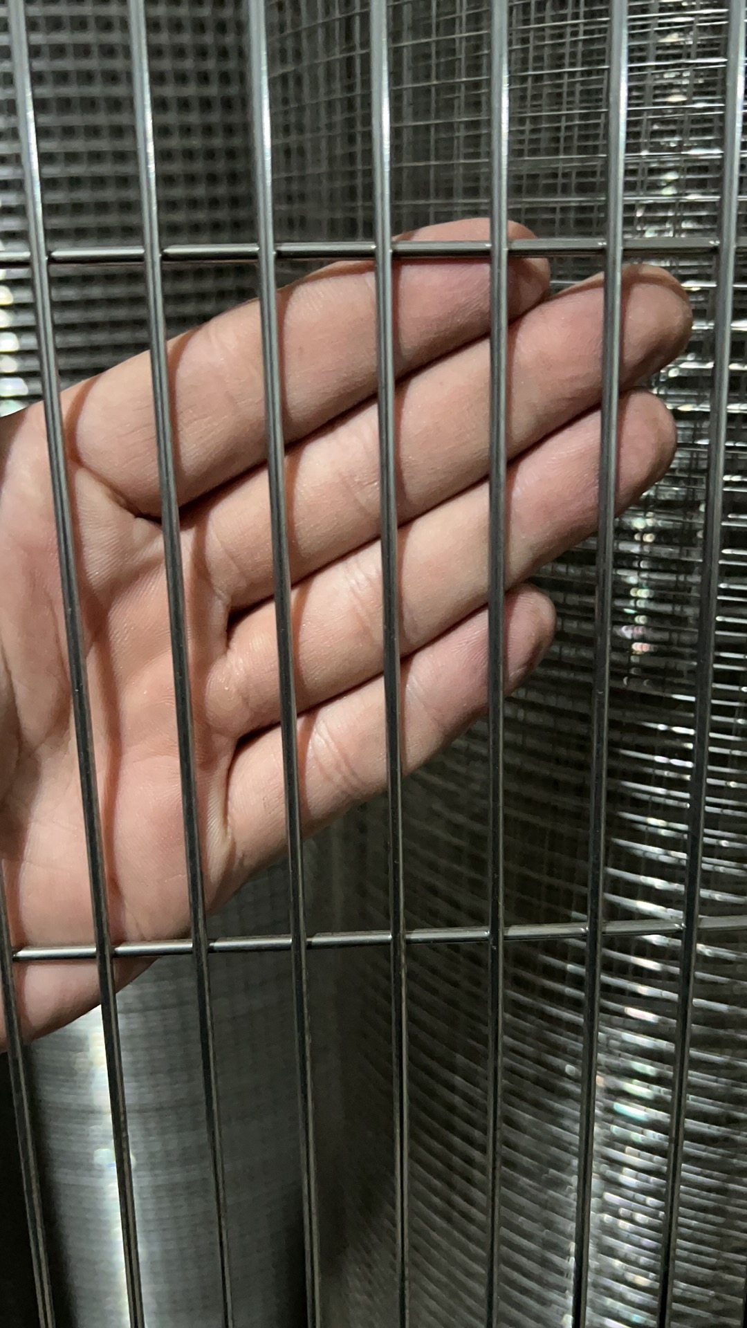 304不锈钢网格不锈钢鸟笼网片长条孔不锈钢焊接网加粗DIY鸟笼鸽笼,淘宝优惠券,粉丝福利购,淘宝优惠卷