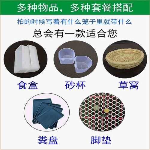 新品大号加粗鸽子用品用具12位16位养殖鸽子笼信鸽配对Z笼肉鸽繁 - 图1