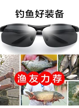 极速普莱斯钓鱼眼镜看漂看水底鱼垂钓专用智能感光变色偏光太阳眼