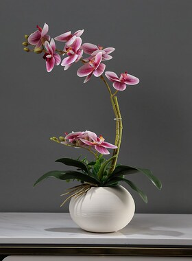 仿真蝴蝶兰花艺套装摆件新中式客C厅餐桌博古架假花桌面小盆栽装