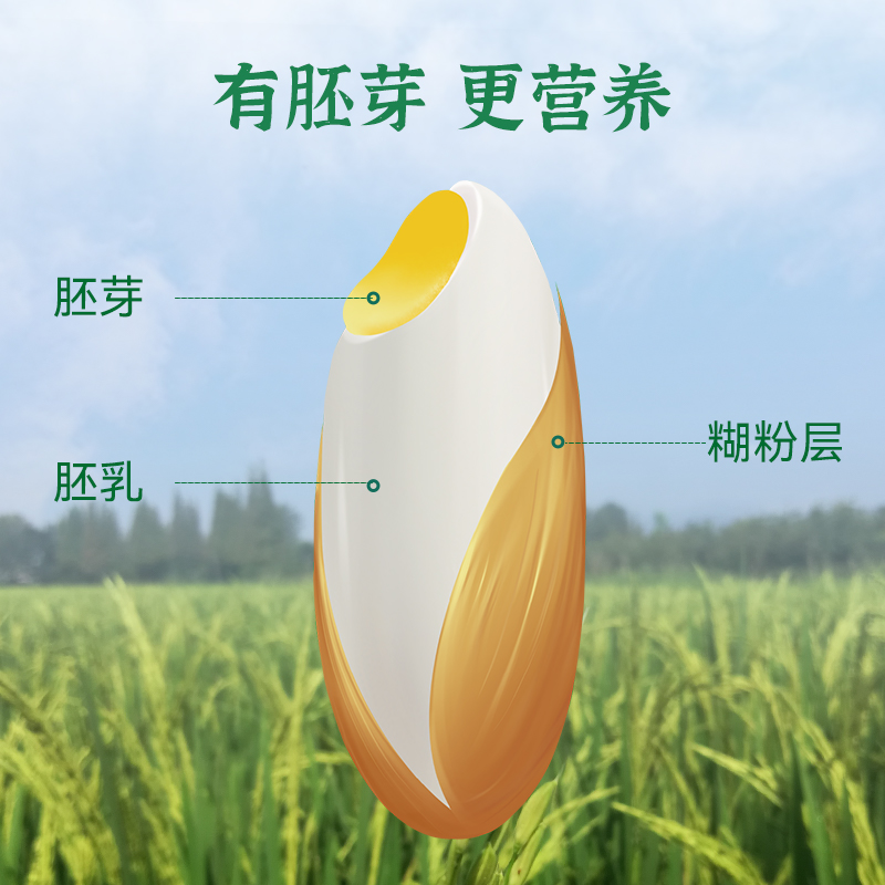 双竹鲜活胚芽米10斤真空包装新米留胚芽米谷物营养大米粥 - 图0