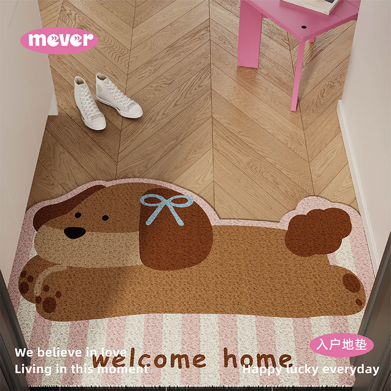 韩式奶油ins风丝圈地垫入户门垫防滑脚垫进门垫玄关大门口门外毯,淘宝优惠券,粉丝福利购,淘宝优惠卷