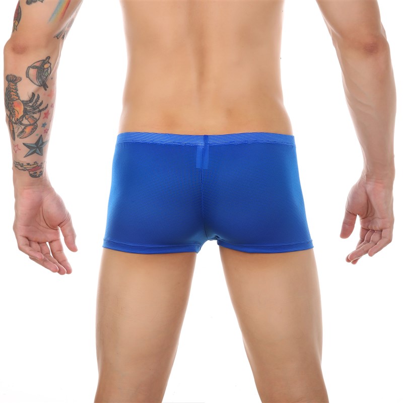 网红.CLEVER-MENMODE Men Mesh Underwear Boxer Sexy Sheer Unde - 图1